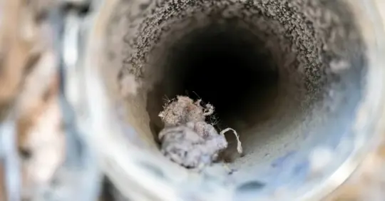 Interior view of vent line with lint and dust buildup